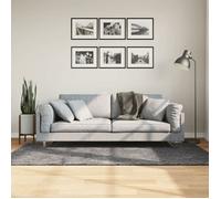 vidaXL HUARTE Tapis à poils courts - Anthracite 120x170 cm