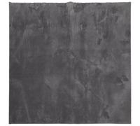 vidaXL Tapis à Poils Courts Doux et Lavable, Moquette de Sol, Tapis de Zone, Carpette de Salon Salle de Séjour, Moderne, Anthracite 200x200 cm