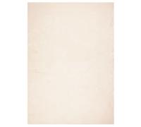 vidaXL Tapis HUARTE à Poils Courts Doux et Lavable Beige 240x340 cm
