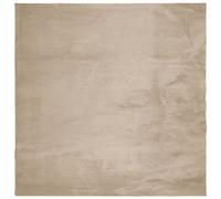 Vidaxl Tapis Huarte À Poils Courts Doux Et Lavable Sable 160x160 Cm