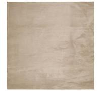 vidaXL Tapis HUARTE à Poils Courts Doux et Lavable Sable 200x200 cm