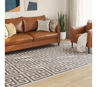 VidaXL Tapis Intérieur/Extérieur Antidérapant 190x300cm
