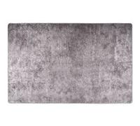Tapis Lavable Antidérapant Moquette d'Entrée Tapis de Sol Paillasson de Sol Tapis d'Entrée Moquette de Couloir 80x150 cm Gris