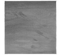 Vidaxl Tapis OVIEDO à poils courts - Anthracite - 120x120 cm