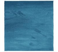vidaXL Tapis OVIEDO à poils courts 120x120 cm Turquoise