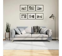 VIDAXL Tapis Oviedo Poils Courts Gris 160x230