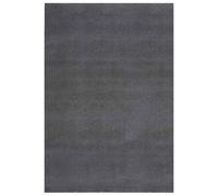 Vidaxl Tapis Shaggy Anthracite 240x340 Cm Polyester