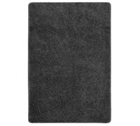 vidaXL Tapis Shaggy Antidérapant Carpette de Salle de Séjour Moquette Tapis de Sol Salon Chambre à Coucher Maison Intérieur 340380
