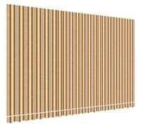 VidaXL Toile de remplacement pour auvent rayé 5x3 m multicolore