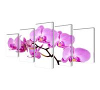 VidaXL Toiles Orchidée 100x50