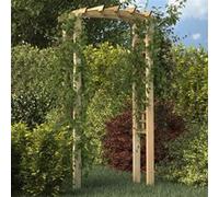 vidaXL Arche de jardin Bois de pin massif 110x60x210 cm Imprégné Vert Treillis