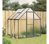 Serre avec cadre de base anthracite 169x169x195 cm aluminium