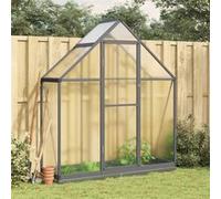vidaXL Serre avec cadre de base 169x58x202 cm aluminium anthracite 4005821