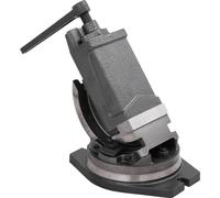 vidaXL Étau inclinable à 2 axes 100 mm