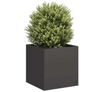 Vidaxl vidaXL Jardinière 40x40x40 cm - Noir