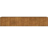 vidaXL Lit surélevé 200x40x40 cm acier corten