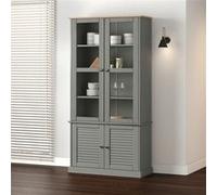 VidaXL Vitrine en verre VIGO 85x35x170 cm - Gris