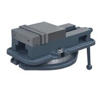 vidaXL Étau à table tournante Fonte 160 mm