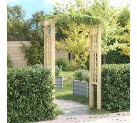 vidaXL Arche de jardin bois pin 150x60x210cm, résistante à la pourriture, support plantes grimpantes