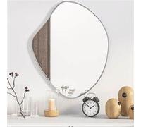 vidaXL Wandspiegel 60x50 cm zilverkleurig348249 G