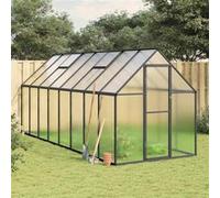 vidaXL Serre avec cadre de base anthracite 445x169x195 cm aluminium