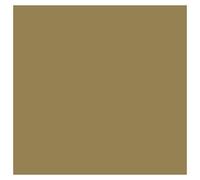 Vallejo Peinture acrylique pour modélisme 17 ml Metallic Old Gold