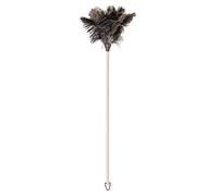 Vigar - Duster - Plumes d'Autruche Naturelles - 9 x 8 x 74 cm - Nettoie Meubles Hauts, Étagères et Décoration - Brosse à Poussière Multifonction - en Noir