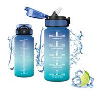 Vikaster Bouteille, Gourde avec Paille 0.5 Litre, sans BPA, Étanche & Réutilisable, Water Bottle Ouvrir en Un Clic, Convient pour la Gym, Le Yoga, Le Camping, Randonnée