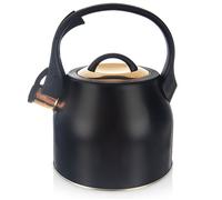 VILDE Bouilloire Classique 3L en Acier Inoxydable - Sifflet inclinable - Compatible tous feux dont induction
