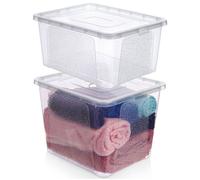 VILDE Ensemble de 2 récipients de rangement 20L/30L - Plastique transparent avec couvercles - Empilables et verrouillés