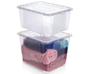 VILDE Ensemble de 2 récipients de rangement 20L/30L - Plastique transparent avec couvercles - Empilables et verrouillés
