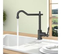 Villeroy & Boch Avia 2.0 Mitigeur de cuisine, pivotant, 92400005,