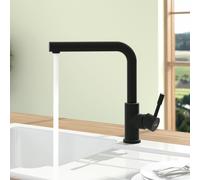 Villeroy & Boch Steel Shower Mitigeur de cuisine pivotant, avec douchette extractible, 96970106,