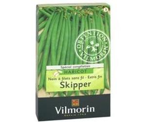 Vilmorin 1141754 Pack De Graines Haricot Skipper Création Recommande Pour Congélation G