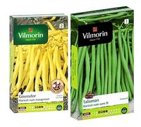 Vilmorin 1172353 Pack de Graines Haricot Goussdor Création & Haricot Talisman Boite 140g, Vert