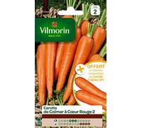 Vilmorin 3175742 Pack De Graines Carotte De Colmar À Coeur Rouge 2 + Echantillon Carotte Eskimo G