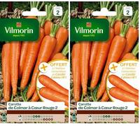 Vilmorin 3175742 Pack de Graines Carotte de Colmar à Cœur Rouge 2 + Echantillon Carotte Eskimo (Lot de 2)