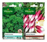 Vilmorin 3182670127915 3801542 Persil Frise Alto Creation, Vert, 90 x 2 x 140 cm & 3882041 Radis, Rouge, 90 x 2 x 160 cm