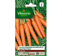 Graines De Carotte Variété "Nantaise Améliorée 3 Tam Tam" Vilmorin Semis De Mars À Juillet