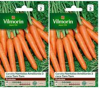 Vilmorin 3193142 Pack de Graines Carotte Nantaise Améliorée 3 Race Tam (Lot de 2)