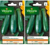 Vilmorin 3484440 Courgette Verte noire maraîchère (Lot de 2)