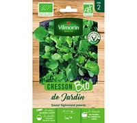 Vilmorin-3520742-CRESSON DE JARDIN BIO VL 2
