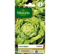 Vilmorin Laitue Appia