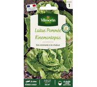 Vilmorin-3602281-LAITUE KINEMONTEPAS VL 1