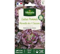 Vilmorin-3603781-LAITUE MERV 4 Saisons VL1