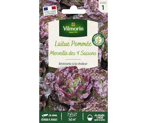 Vilmorin-3603781-LAITUE MERV 4 Saisons VL1