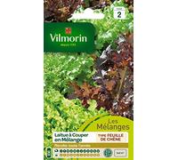 Vilmorin 3609242 Pack de Graines Laitue à Couper en Mélange Bol Vert/Rouge