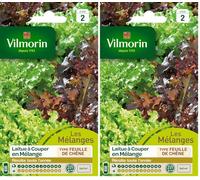 Vilmorin 3609242 Pack de Graines Laitue à Couper en Mélange Bol Vert/Rouge (Lot de 2)