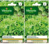 Vilmorin 3609742 Pack de Graines Laitue à Couper Salade Bol Vert (Lot de 2)