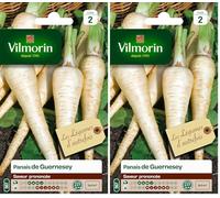 Vilmorin 3771242 Pack de Graines Panais de Guernesey (Lot de 2)